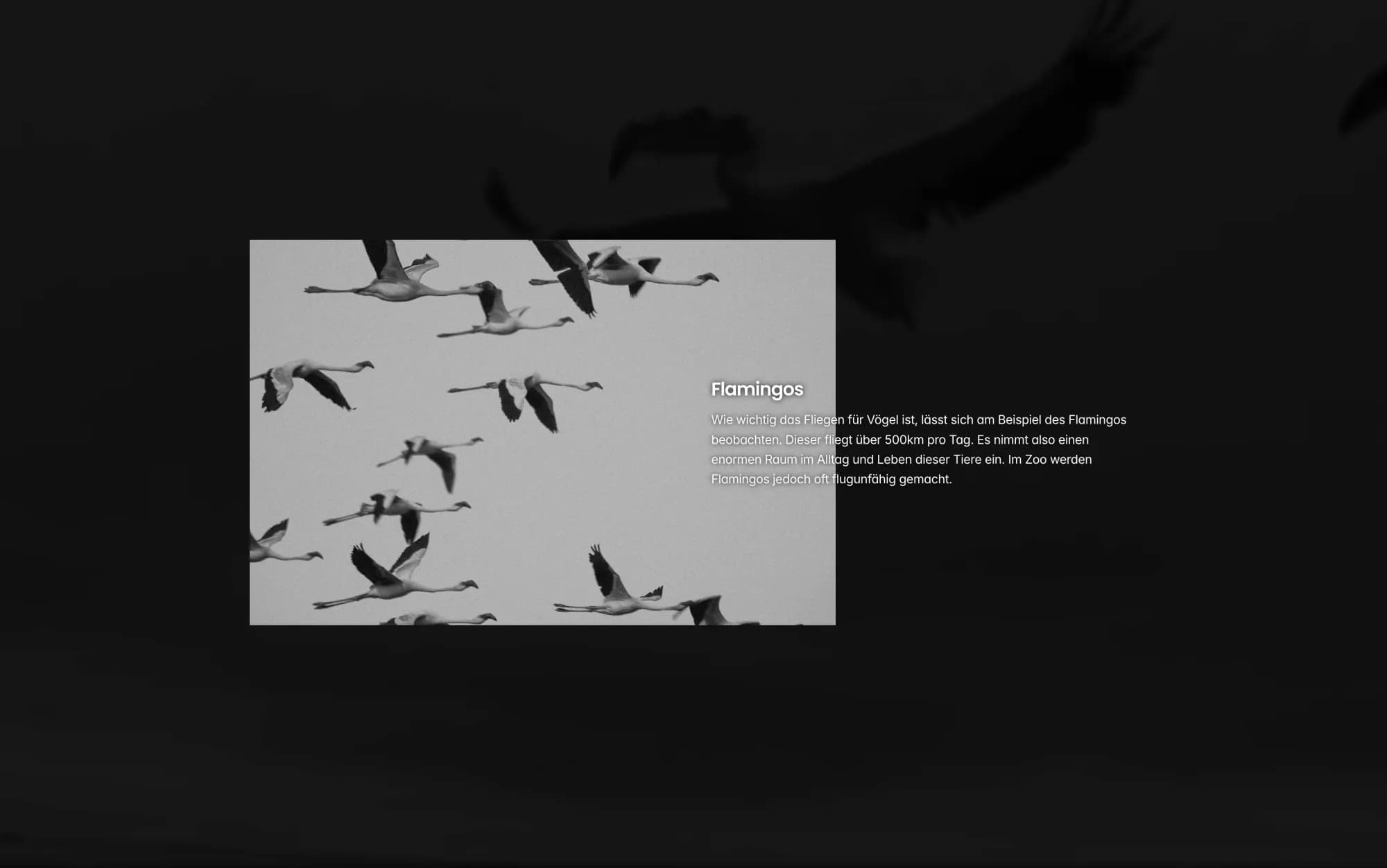Schutzlos per Gesetz — Web design (2)