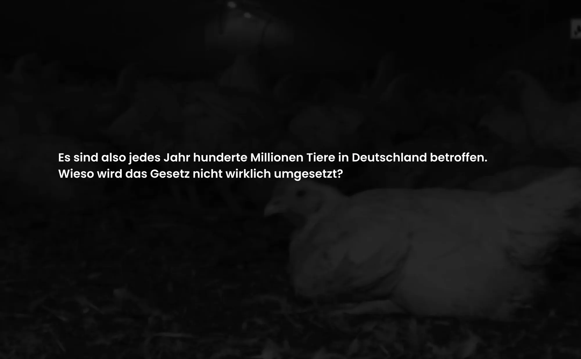Schutzlos per Gesetz — Web design (3)